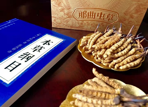 冬蟲夏草真就那么好嗎？它的主要功能是什么呀