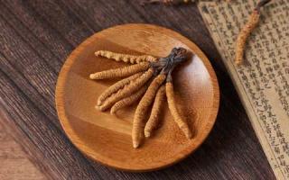 什么叫真正純冬蟲(chóng)夏草粉？