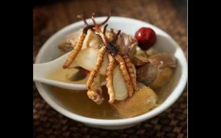 冬蟲(chóng)夏草怎么吃法-做法簡(jiǎn)單！