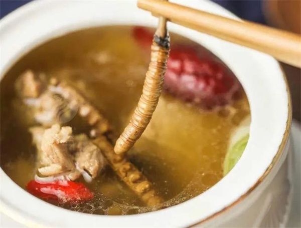 少女能吃冬蟲(chóng)夏草嗎？女人吃冬蟲(chóng)夏草的好處