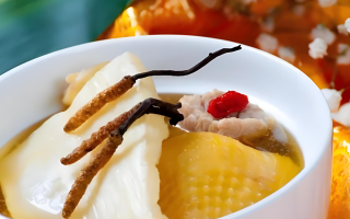 冬蟲(chóng)夏草的作用有哪些