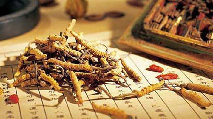 冬蟲(chóng)夏草是什么長(zhǎng)成的？揭秘其獨(dú)特的生長(zhǎng)歷程
