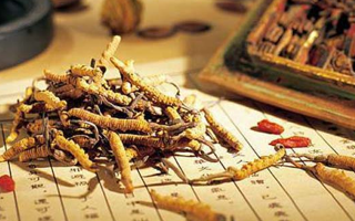 老人可以喝冬蟲夏草湯嗎？科學(xué)分析與飲用指南