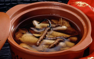 糖尿病可服用冬蟲夏草嗎？科學(xué)解析其調(diào)理價(jià)值與注意事項(xiàng)
