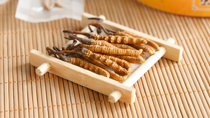 冬蟲夏草老鴨湯怎么燉？鮮香滋補(bǔ)的詳細(xì)做法與技巧