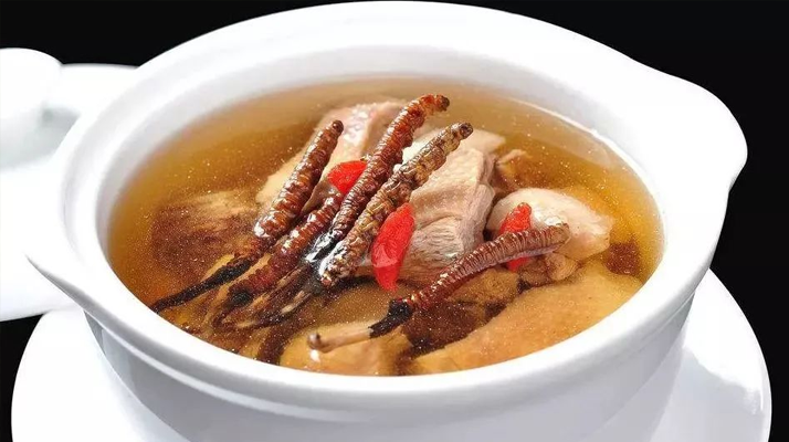 冬蟲夏草怎樣燉是最好的？掌握這幾步，營養(yǎng)不流失還美味